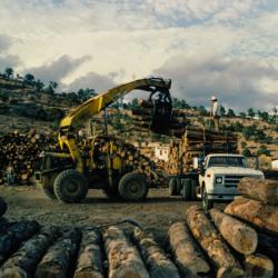 Mexico 1986 - 0057