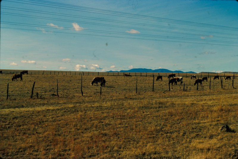 Mexico 1986 - 0070