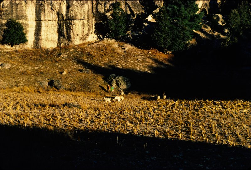 Mexico 1986 - 0123